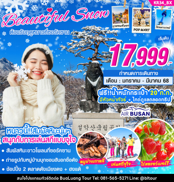 ทัวร์เกาหลี BEAUTIFUL SNOW  - บริษัท บัวหลวง ทัวร์ แอนด์ เทรดดิ้ง จำกัด