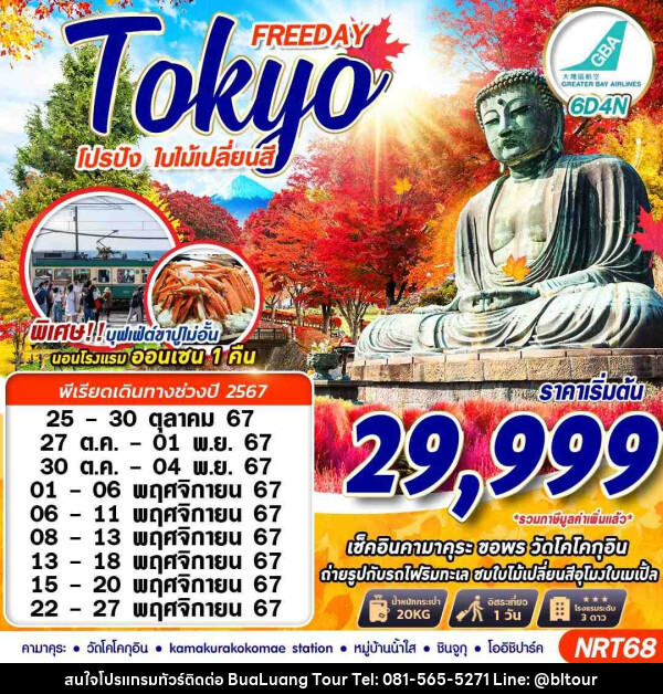 ทัวร์ญี่ปุ่น TOKYO AUTUMN โปรปัง ใบไม้เปลี่ยนสี (FREEDAY) - บริษัท บัวหลวง ทัวร์ แอนด์ เทรดดิ้ง จำกัด