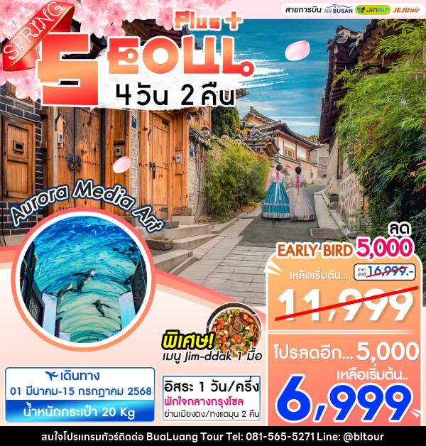 ทัวร์เกาหลี SEOUL PLUS+ Spring - บริษัท บัวหลวง ทัวร์ แอนด์ เทรดดิ้ง จำกัด