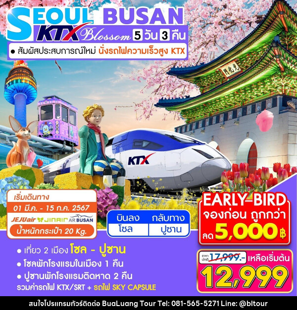 ทัวร์เกาหลี SEOUL BUSAN  KTX Blossom - บริษัท บัวหลวง ทัวร์ แอนด์ เทรดดิ้ง จำกัด