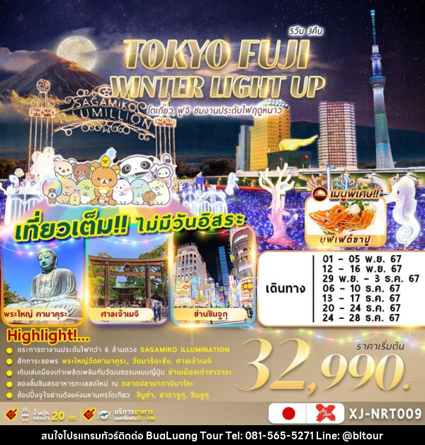 ทัวร์ญี่ปุ่น TOKYO FUJI WINTER 5D3N ชมงานประดับไฟฤดูหนาว - บริษัท บัวหลวง ทัวร์ แอนด์ เทรดดิ้ง จำกัด