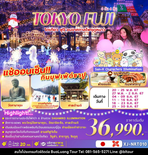 ทัวร์ญี่ปุ่น TOKYO FUJI  ชมงานประดับไฟ เล่นสกีฤดูหนาว  - บริษัท บัวหลวง ทัวร์ แอนด์ เทรดดิ้ง จำกัด