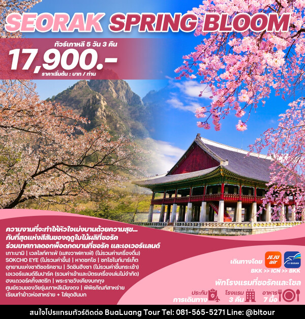 ทัวร์เกาหลี SEORAK SPRING BLOOM - บริษัท บัวหลวง ทัวร์ แอนด์ เทรดดิ้ง จำกัด