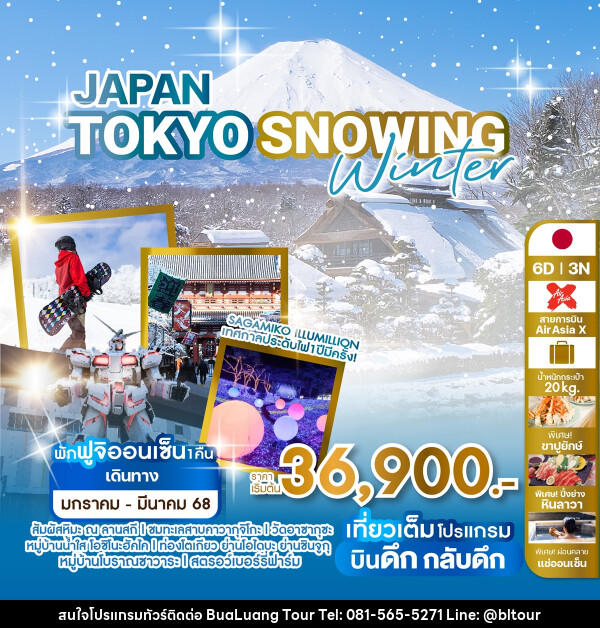 ทัวร์ญี่ปุ่น JAPAN TOKYO SNOWING WINTER - บริษัท บัวหลวง ทัวร์ แอนด์ เทรดดิ้ง จำกัด