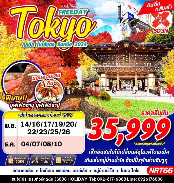 ทัวร์ญี่ปุ่น TOKYO เมเปิ้ล ใบไม้แดง ยืนหนึ่ง 2024 - JS888 Holiday