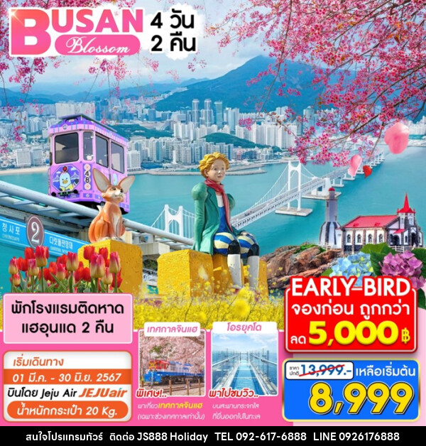 ทัวร์เกาหลี ปูซาน BLOSSOM - JS888 Holiday