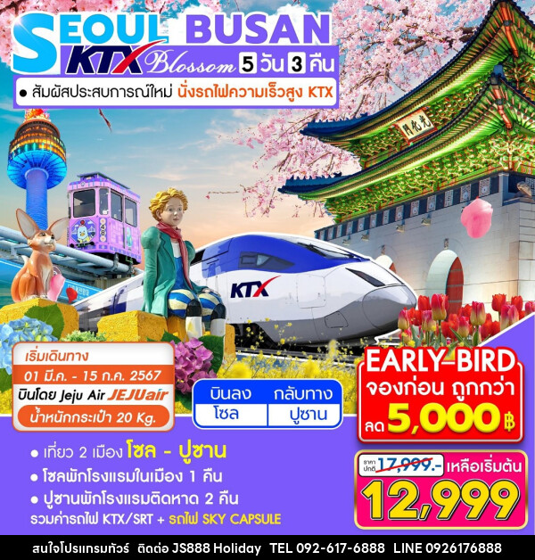 ทัวร์เกาหลี KTX Seoul Busan Blossom - JS888 Holiday