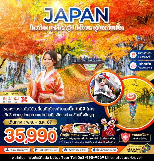 ทัวร์ญี่ปุ่น JAPAN โตเกียว นาริตะ ฟูจิ โอไดบะ อุโมงค์เมเปิ้ล - บริษัท โลตัสทัวร์ แอนด์ ทราเวล