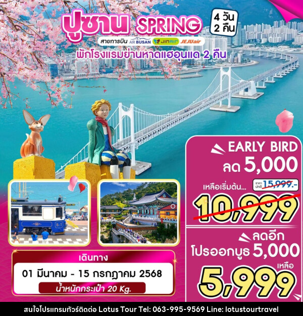 ทัวร์เกาหลี ปูซาน SPRING - บริษัท โลตัสทัวร์ แอนด์ ทราเวล