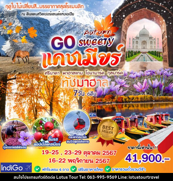 ทัวร์แคชเมียร์ GO SWEETY AUTUMN  - บริษัท โลตัสทัวร์ แอนด์ ทราเวล