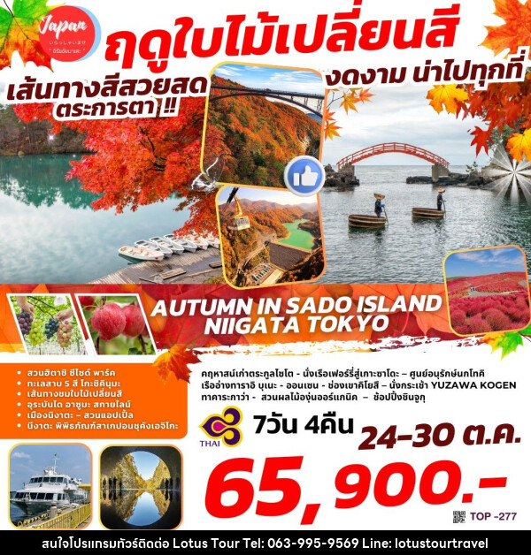 ทัวร์ญี่ปุ่น AUTUMN IN SADO ISLAND – NIIGATA TOKYO - บริษัท โลตัสทัวร์ แอนด์ ทราเวล