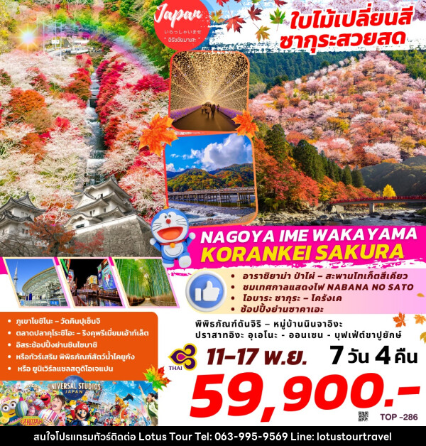 ทัวร์ญี่ปุ่น ใบไม้เปลี่ยนสี ซากุระสวยสด NAGOYA IME WAKAYAMA KORANKEI SAKURA - บริษัท โลตัสทัวร์ แอนด์ ทราเวล