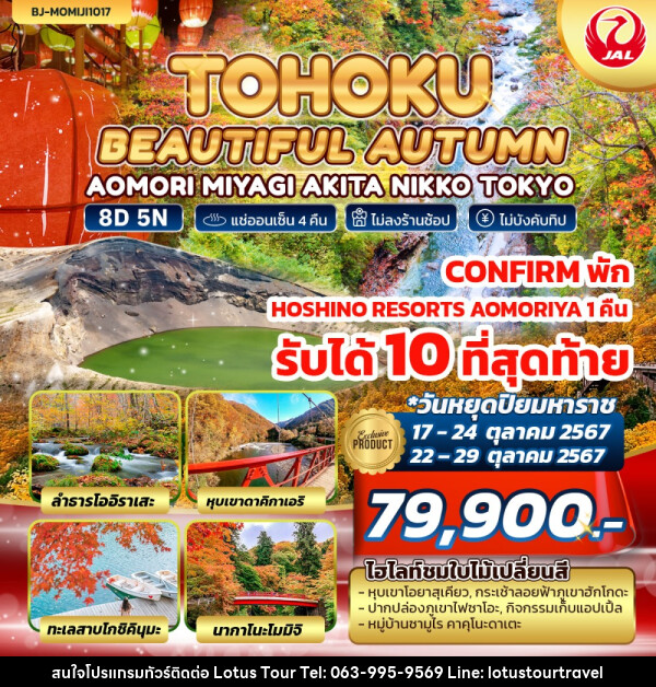 ทัวร์ญี่ปุ่น TOHOKU BEAUTIFUL AUTUMN - บริษัท โลตัสทัวร์ แอนด์ ทราเวล