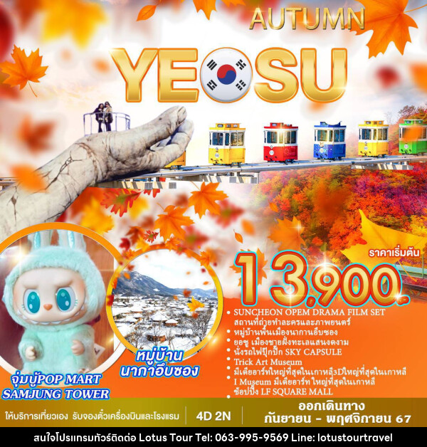 ทัวร์เกาหลี AUTUMN YEOSU - บริษัท โลตัสทัวร์ แอนด์ ทราเวล