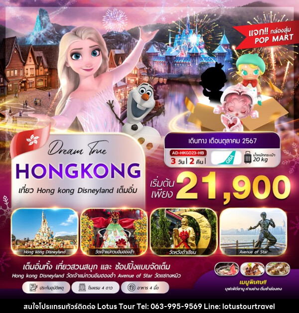 ทัวร์ฮ่องกง HONGKONG DISNEYLAND - บริษัท โลตัสทัวร์ แอนด์ ทราเวล