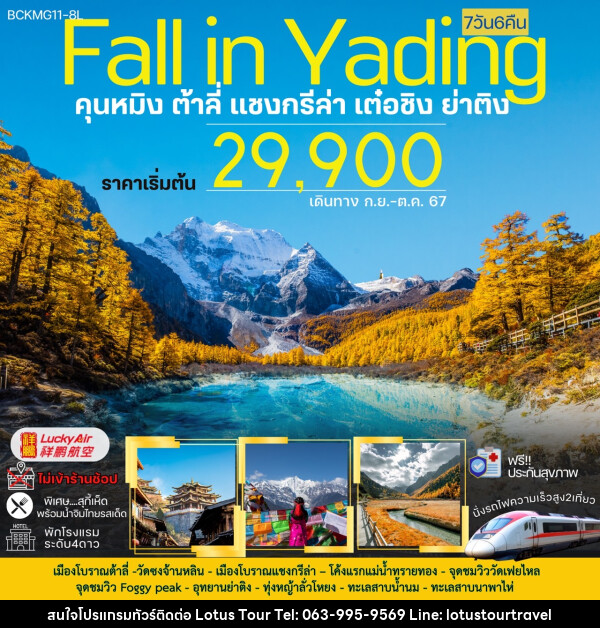 ทัวร์จีน Fall in Yading คุนหมิง ต้าลี่ แชงกรีล่า เต๋อซิง ย่าติง - บริษัท โลตัสทัวร์ แอนด์ ทราเวล