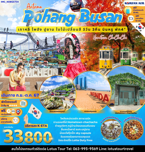 ทัวร์เกาหลี Autumn Pohang Busan เกาหลี โพฮัง ปูซาน ใบไม้เปลี่ยนสี - บริษัท โลตัสทัวร์ แอนด์ ทราเวล