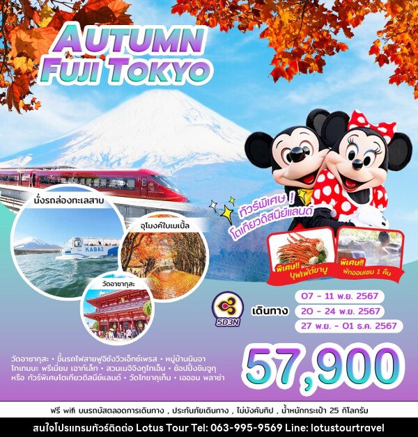 ทัวร์ญี่ปุ่น AUTUMN FUJI TOKYO - บริษัท โลตัสทัวร์ แอนด์ ทราเวล