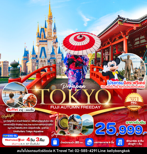 ทัวร์ญี่ปุ่น TOKYO FUJI AUTUMN FREE DAY - KTravel And Experience