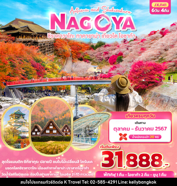 ทัวร์ญี่ปุ่น Autumn and Shikizakura Nagoya  ชิราคาวาโกะ ทาคายาม่า เกียวโต โอซาก้า  - KTravel And Experience