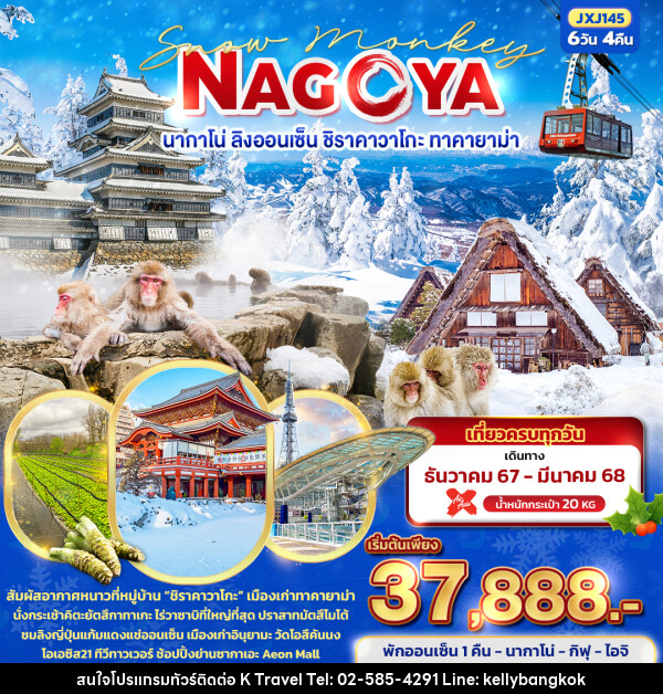 ทัวร์ญี่ปุ่น Snow Monkey NAGOYA นากาโน่ ลิงออนเซ็น ชิราคาวาโกะ ทาคายาม่า - KTravel And Experience