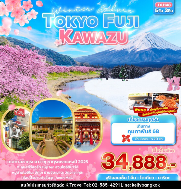 ทัวร์ญี่ปุ่น Winter Sakura TOKYO FUJI KAWAZU - KTravel And Experience