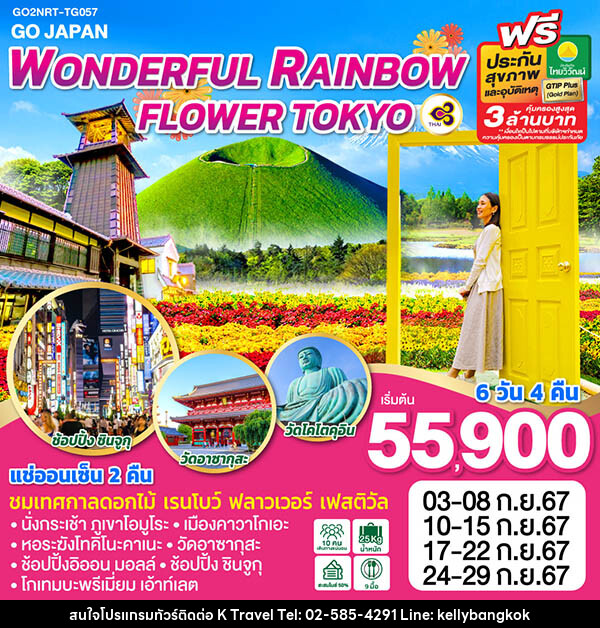 ทัวร์ญี่ปุ่น WONDERFUL RAINBOW FLOWER TOKYO - KTravel And Experience