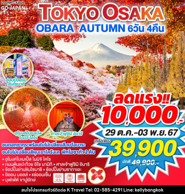 ทัวร์ญี่ปุ่น TOKYO OSAKA OBARA AUTUMN - KTravel And Experience