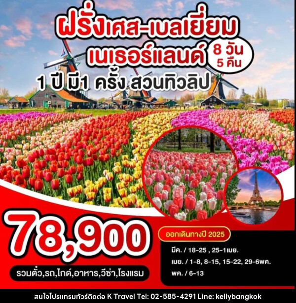 ทัวร์ยุโรป ฝรั่งเศส  เบลเยี่ยม เนเธอแลนด์ 1 ปี มี 1 ครั้ง สวนทิวลิป - KTravel And Experience