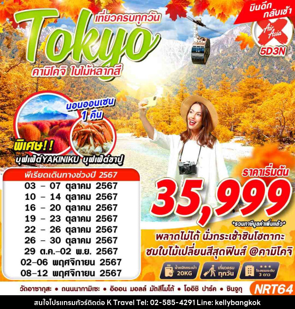 ทัวร์ญี่ปุ่น TOKYO คามิโคจิ ใบไม้หลากสี - KTravel And Experience