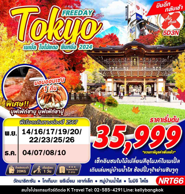 ทัวร์ญี่ปุ่น TOKYO เมเปิ้ล ใบไม้แดง ยืนหนึ่ง 2024 - KTravel And Experience