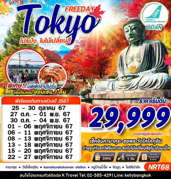 ทัวร์ญี่ปุ่น TOKYO AUTUMN โปรปัง ใบไม้เปลี่ยนสี (FREEDAY) - KTravel And Experience