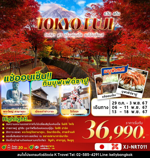 ทัวร์ญี่ปุ่น TOKYO FUJI โตเกียว ฟูจิ อุโมงค์เมเปิ้ล ชมใบไม้เปลี่ยนสี  - KTravel And Experience