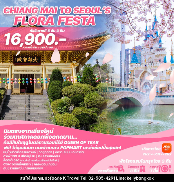 ทัวร์เกาหลีบินตรงเชียงใหม่ - โซล CHIANG MAI TO SEOUL'S FLORA FESTA - KTravel And Experience