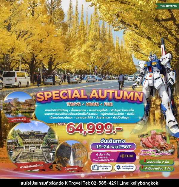 ทัวร์ญี่ปุ่น SPECIAL AUTUMN…TOKYO NIKKO FUJI GINKO FESTIVAL  - KTravel And Experience