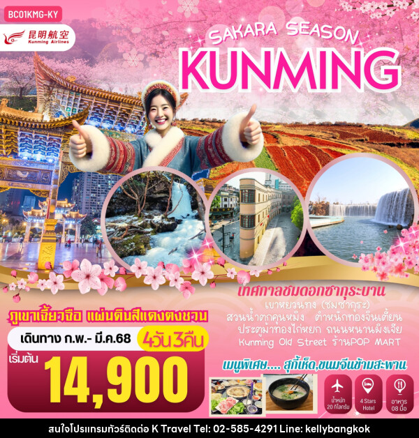 ทัวร์จีน SAKURA SEASON KUNMING คุนหมิง ภูเขาหิมะเจี้ยวจื่อ แผ่นดินสีแดงตงชวน - KTravel And Experience