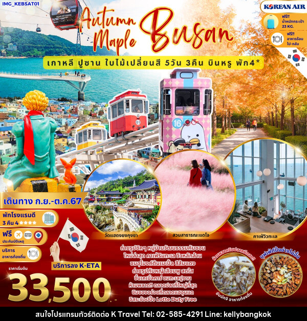 ทัวร์เกาหลี Autumn Maple Busan เกาหลีปูซาน ใบไม้เปลี่ยนสี  - KTravel And Experience