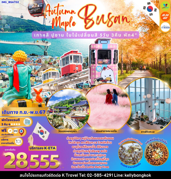 ทัวร์เกาหลี Autumn Maple Busan เกาหลีปูซาน ใบไม้เปลี่ยนสี - KTravel And Experience