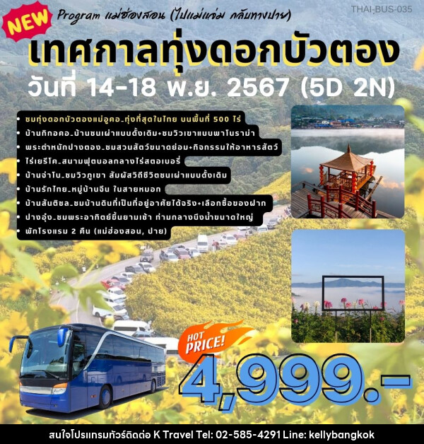 ทัวร์แม่ฮ่องสอน เทศกาลทุ่งดอกบัวตอง - KTravel And Experience