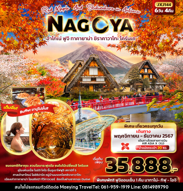 ทัวร์ญี่ปุ่น Red Maple And Shikizakura in Autumn NAGOYA  - แม่หญิงทราเวล