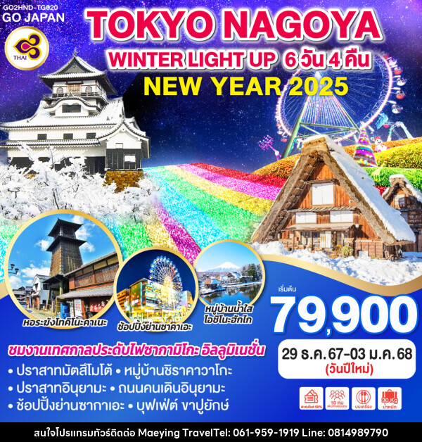 ทัวร์ญี่ปุ่น TOKYO NAGOYA WINTER LIGHT UP NEW YEAR - แม่หญิงทราเวล