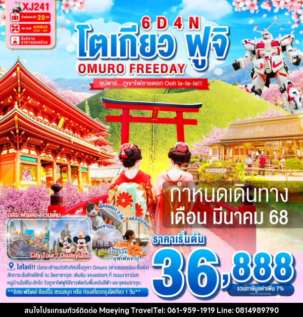 ทัวร์ญี่ปุ่น โตเกียว ฟูจิ OMURO FREEDAY - แม่หญิงทราเวล