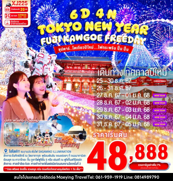 ทัวร์ญี่ปุ่น TOKYO NEW YEAR FUJI KAWAGOE - แม่หญิงทราเวล