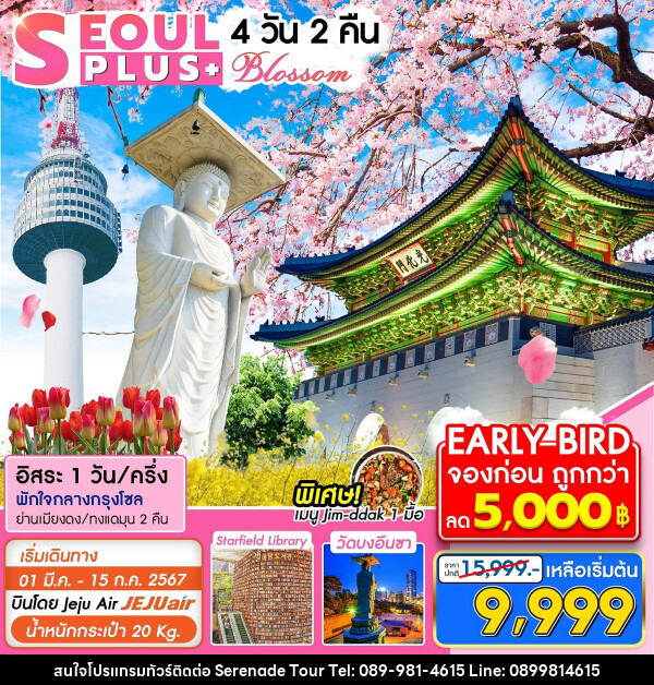 ทัวร์เกาหลี SEOUL PLUS+ Blossom - บริษัท เซเรเนด ทัวร์ จำกัด