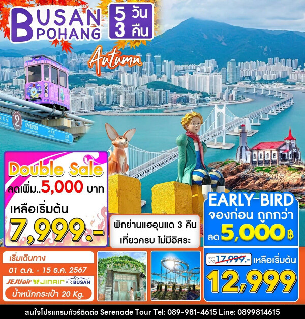 ทัวร์เกาหลี BUSAN POHANG AUTUMN - บริษัท เซเรเนด ทัวร์ จำกัด