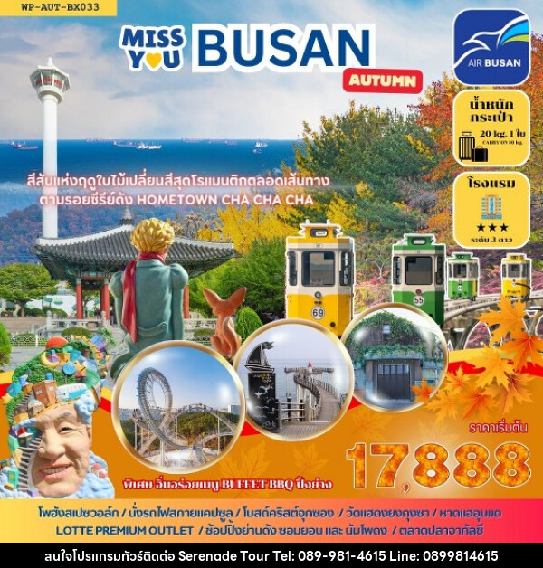 ทัวร์เกาหลี MISS U BUSAN AUTUMN  - บริษัท เซเรเนด ทัวร์ จำกัด