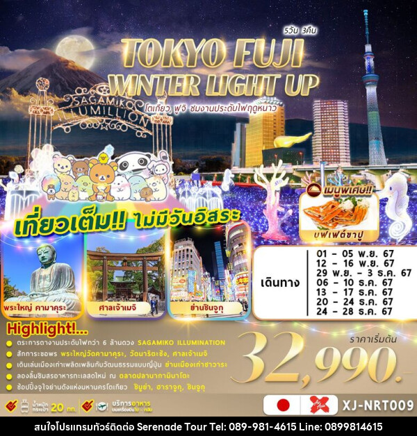 ทัวร์ญี่ปุ่น TOKYO FUJI WINTER 5D3N ชมงานประดับไฟฤดูหนาว - บริษัท เซเรเนด ทัวร์ จำกัด