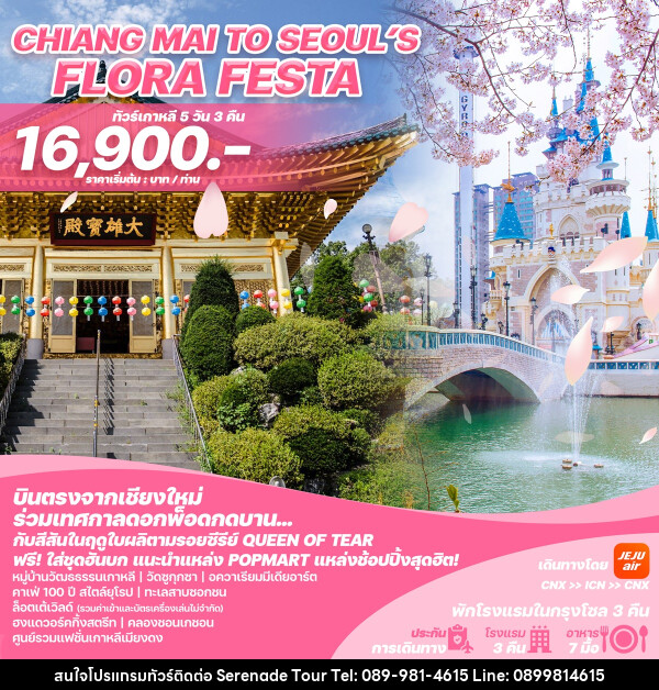 ทัวร์เกาหลีบินตรงเชียงใหม่ - โซล CHIANG MAI TO SEOUL'S FLORA FESTA - บริษัท เซเรเนด ทัวร์ จำกัด