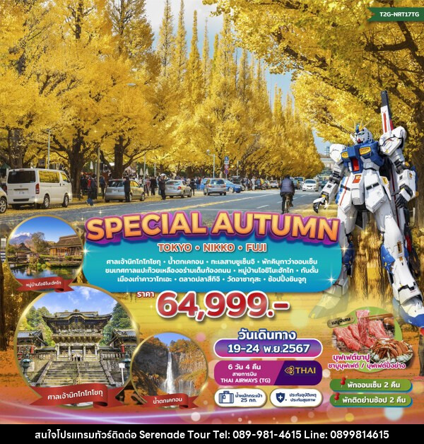 ทัวร์ญี่ปุ่น SPECIAL AUTUMN…TOKYO NIKKO FUJI GINKO FESTIVAL  - บริษัท เซเรเนด ทัวร์ จำกัด