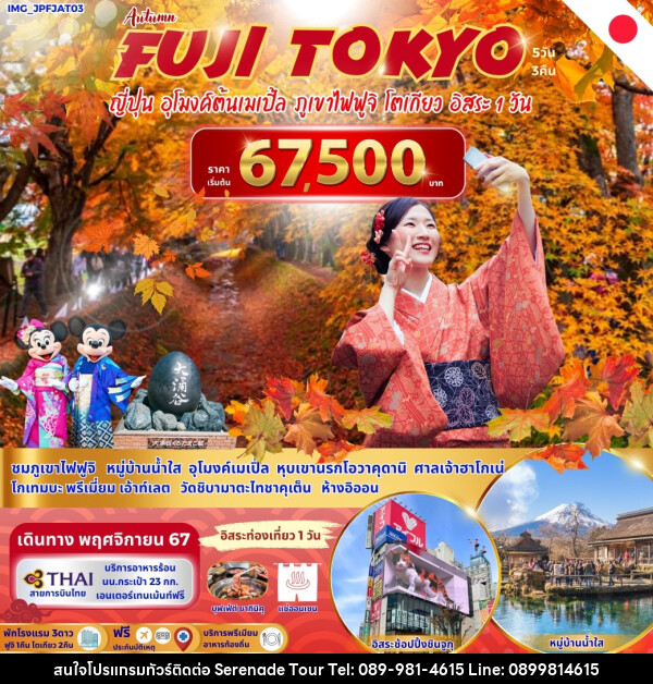 ทัวร์ญี่ปุ่น FUJI TOKYO ญี่ปุ่น อุโมงค์ต้นเมเปิ้ล ภูเขาไฟฟูจิ โตเกียว อิสระ 1 วัน - บริษัท เซเรเนด ทัวร์ จำกัด